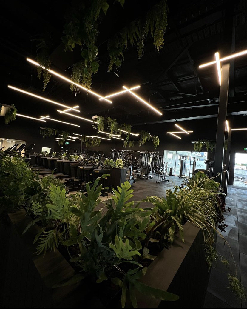 aw-interiors-Flex Fitness  Rolleston1